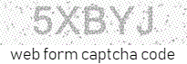 Web Form Code