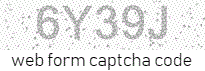 HTML form