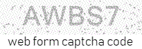 Web Form Code