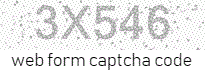 Web Form Code