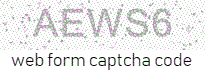 Web Form Code