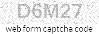 Online Form Protection
