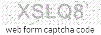 Web Form Code