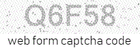 credit card payment online form