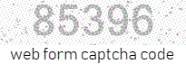 Web Form Code