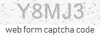 Web Form Code