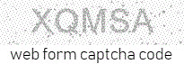 Web Form Code