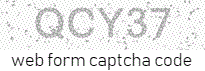Web Form Code
