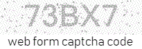Web Form Code