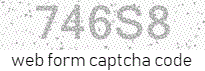 Web Form Code