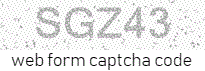 Web Form Code