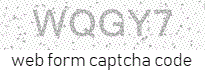 Web Form Code