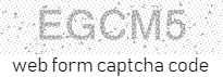 Web Form Code