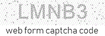email address form