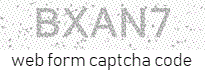 html captcha