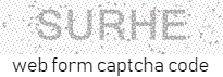 Web Form Code
