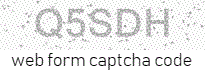 Web Form Code