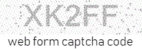 custom forms html