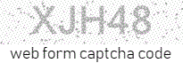 Web Form Code
