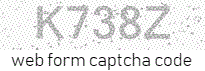 Web Form Code