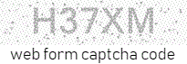 Web Form Code
