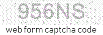 Web Form Code