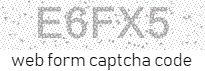 Web Form Code