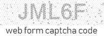 Web Form Code