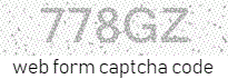 credit card payment online form