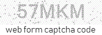 Web Form Code