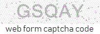 Web Form Code