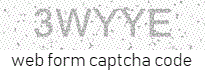 Web Form Code