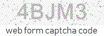Web Form Code
