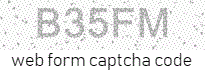form online