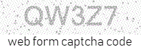 Web Form Code