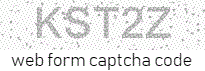 Web Form Code