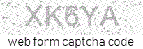 Web Form Code