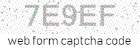 Web Form Code