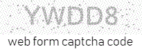 Web Form Code