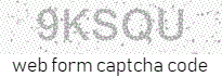 Web Form Code
