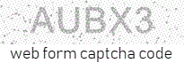 Web Form Code