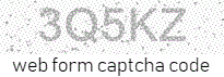 Web Form Code