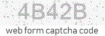 Web Form Code