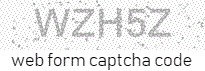 Web Form Code