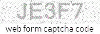 Web Form Code