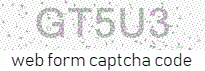 Web Form Code