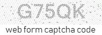 Web Form Code