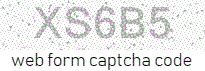 Web Form Code