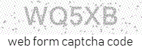 Web Form Code