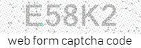 Web Form Code